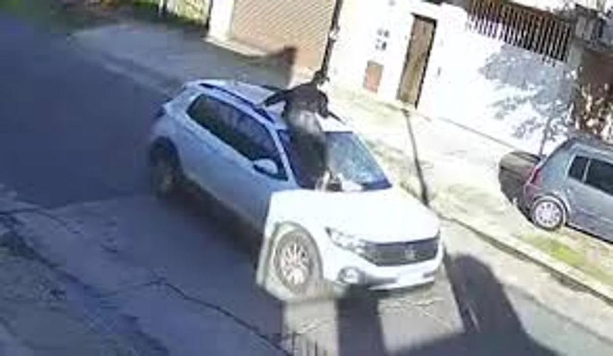 Provincia inhabilitó a conductora que arrastró a un joven tras un choque en la vía pública