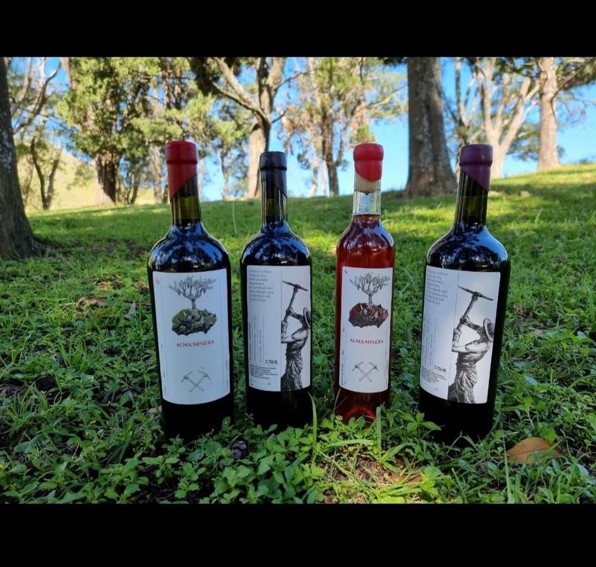 Cómo una familia cordobesa transformó una mina en una bodega única en el país