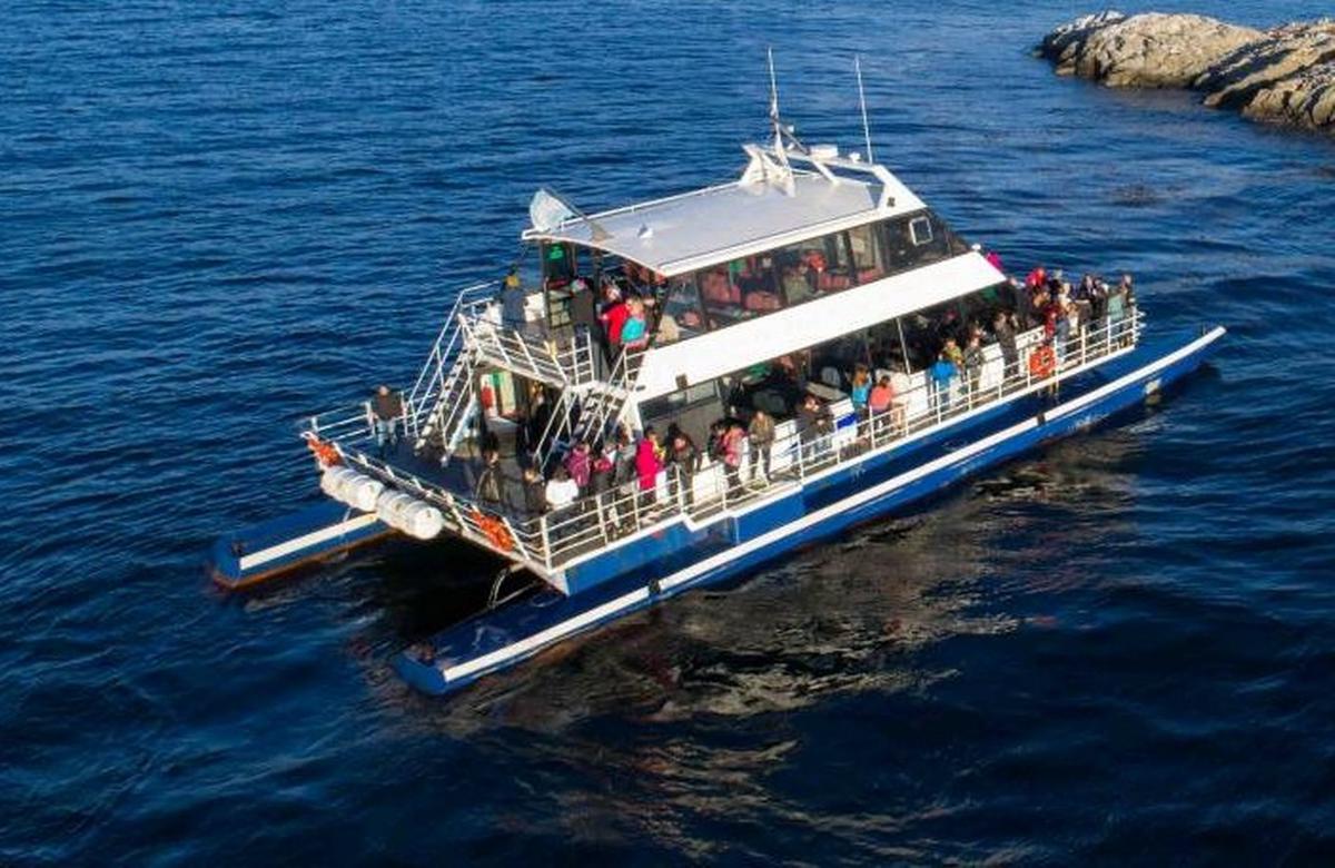 El catamarán, una alternativa posible de transporte para unir ambas ciudades.