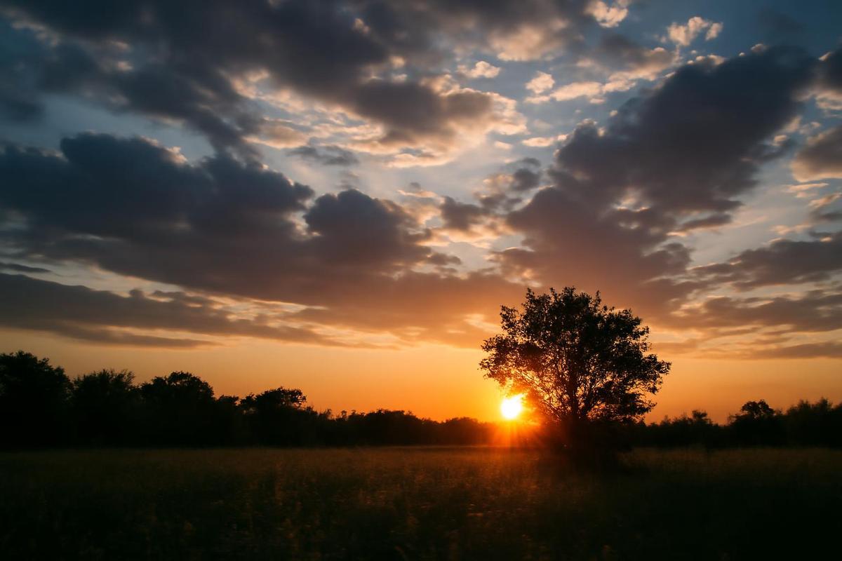 Clima en Córdoba: pronóstico del tiempo para el 20 de septiembre
