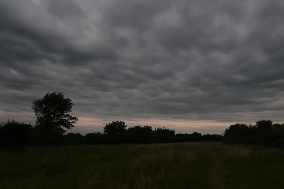 Clima en CABA: pronóstico del tiempo para el 13 de octubre