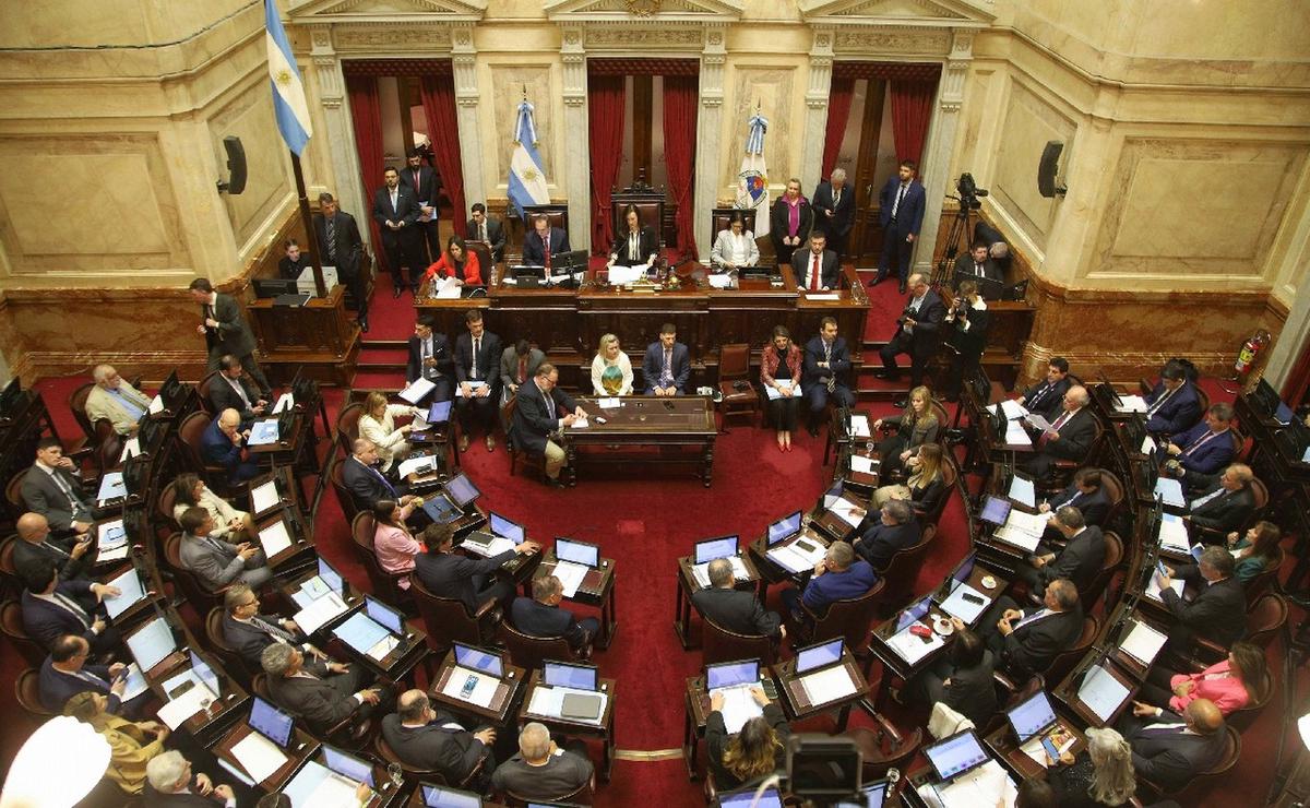 FOTO: El Senado se aprestaba a iniciar el debate en el recinto. (Foto: NA)