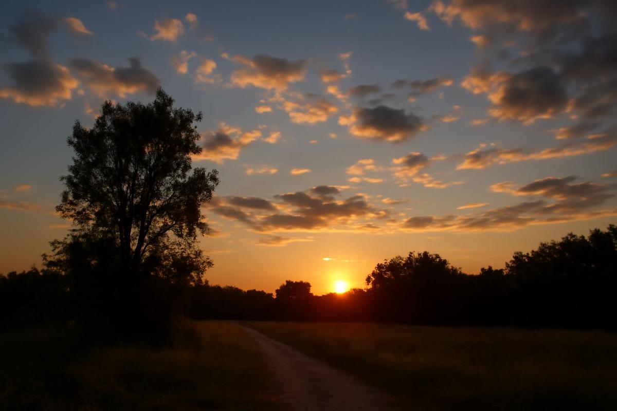 Clima en Rosario: pronóstico del tiempo para el 10 de diciembre