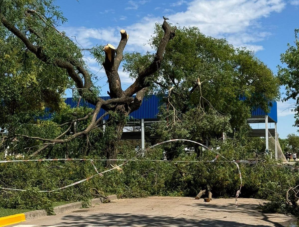 FOTO: La Provincia declara zona de desastre a La Playosa y asistirá a damnificados