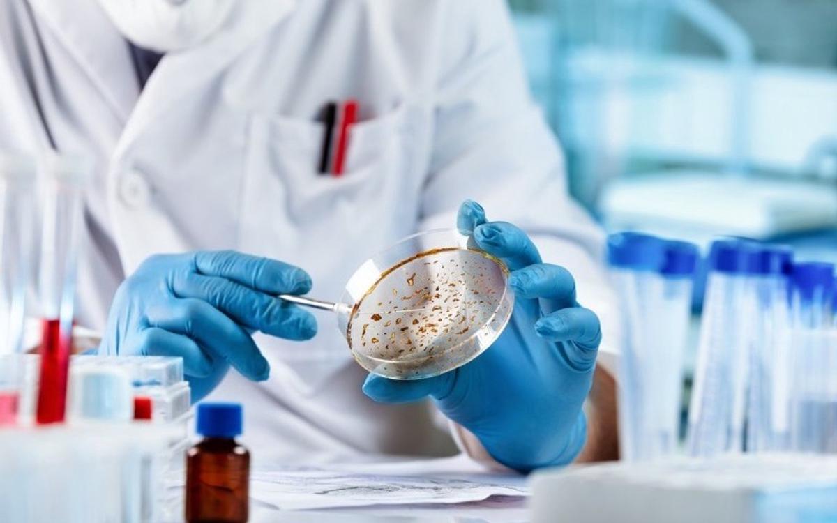 Crean un catálogo de cáncer infantil para impulsar la inmunoterapia.