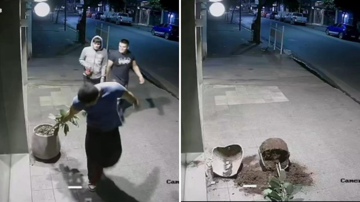 Vandalismo en Tucumán: jóvenes reparan el daño tras ser escrachados en redes sociales