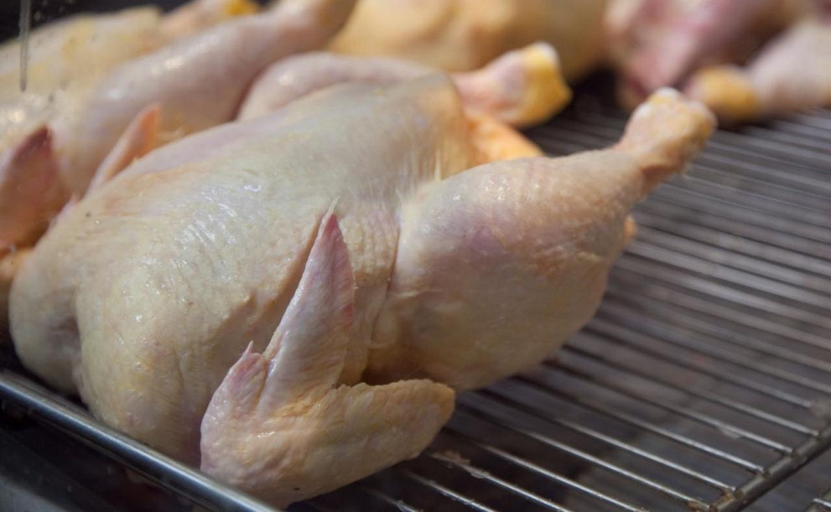 Consumo de pollo en Argentina.