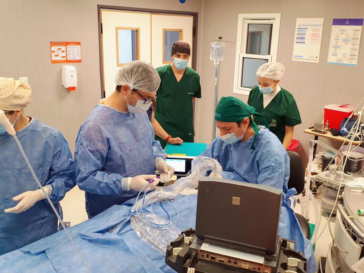 Primera ablación por microondas de tiroides se realiza en Córdoba