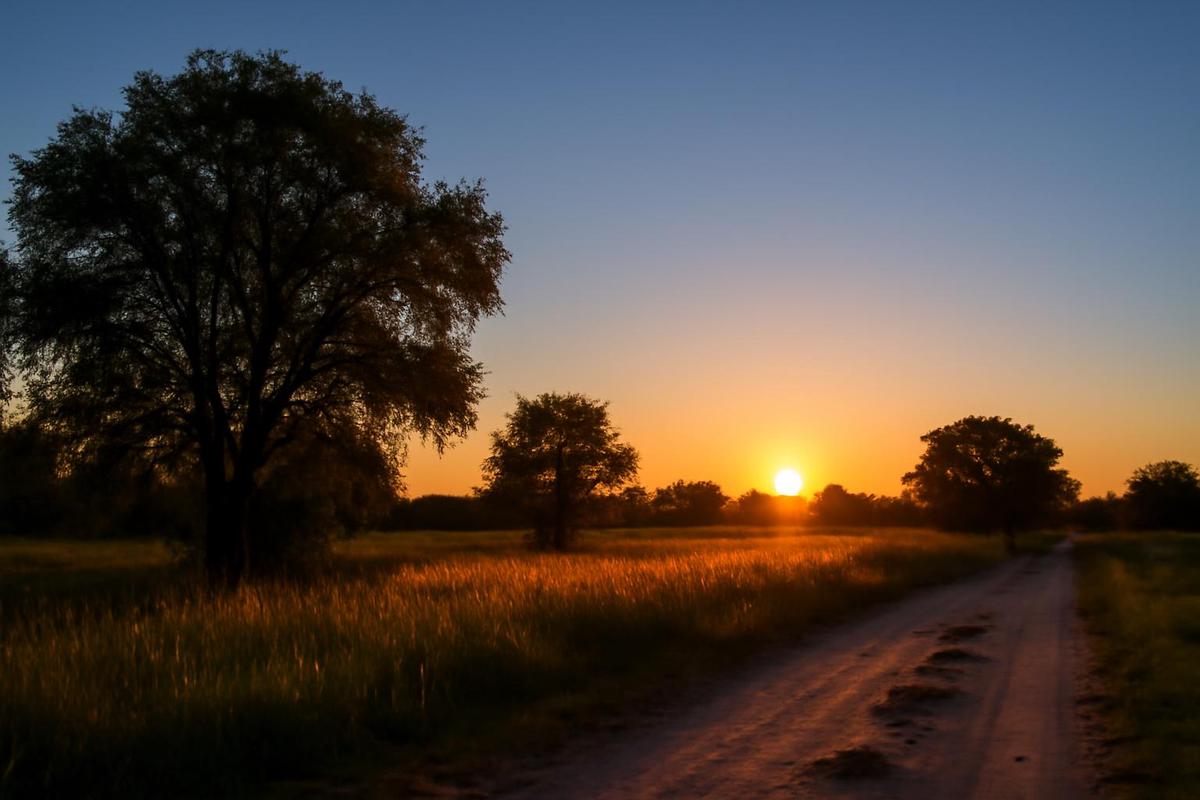 Clima en Rosario: pronóstico del tiempo para el 22 de agosto