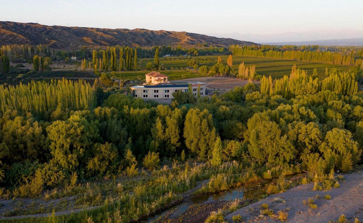 Bodegas Krontiras en Mendoza. (Gentileza)