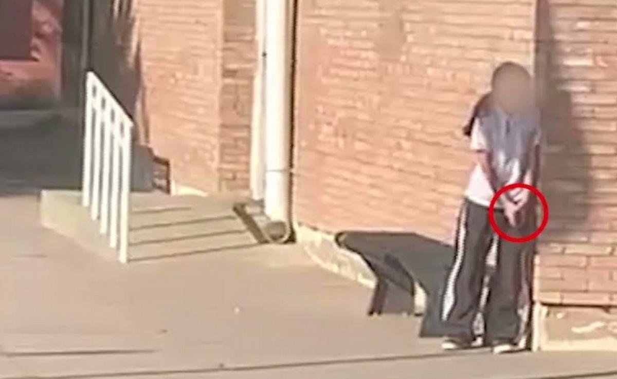 Convivencia escolar en crisis: el drama detrás de la niña armada en Mendoza.