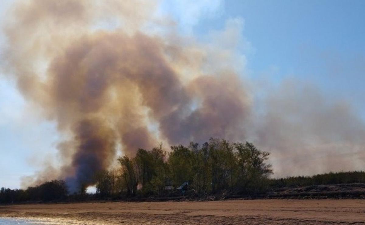 FOTO: Fuego en el delta del Paraná: un detenido por incendio intencional en Victoria.