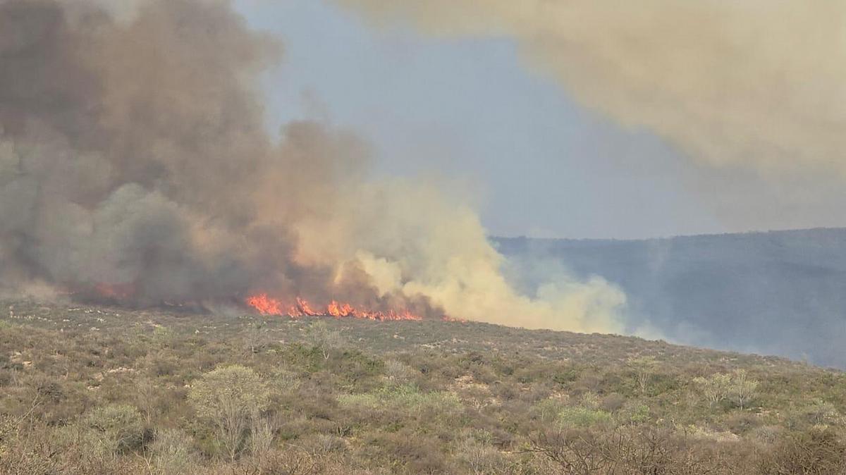 FOTO: Incendio sin control