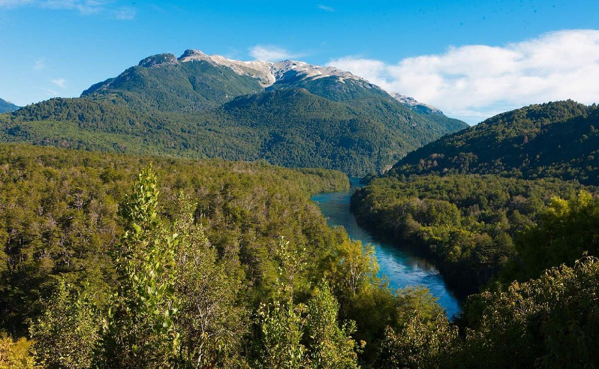 FOTO: Parque Nacional Los Alerces. (Foto: Tripin Argentina)