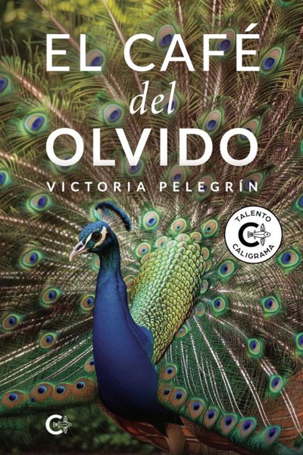 El café del olvido: un viaje a través de la historia y el destino de mujeres olvidadas