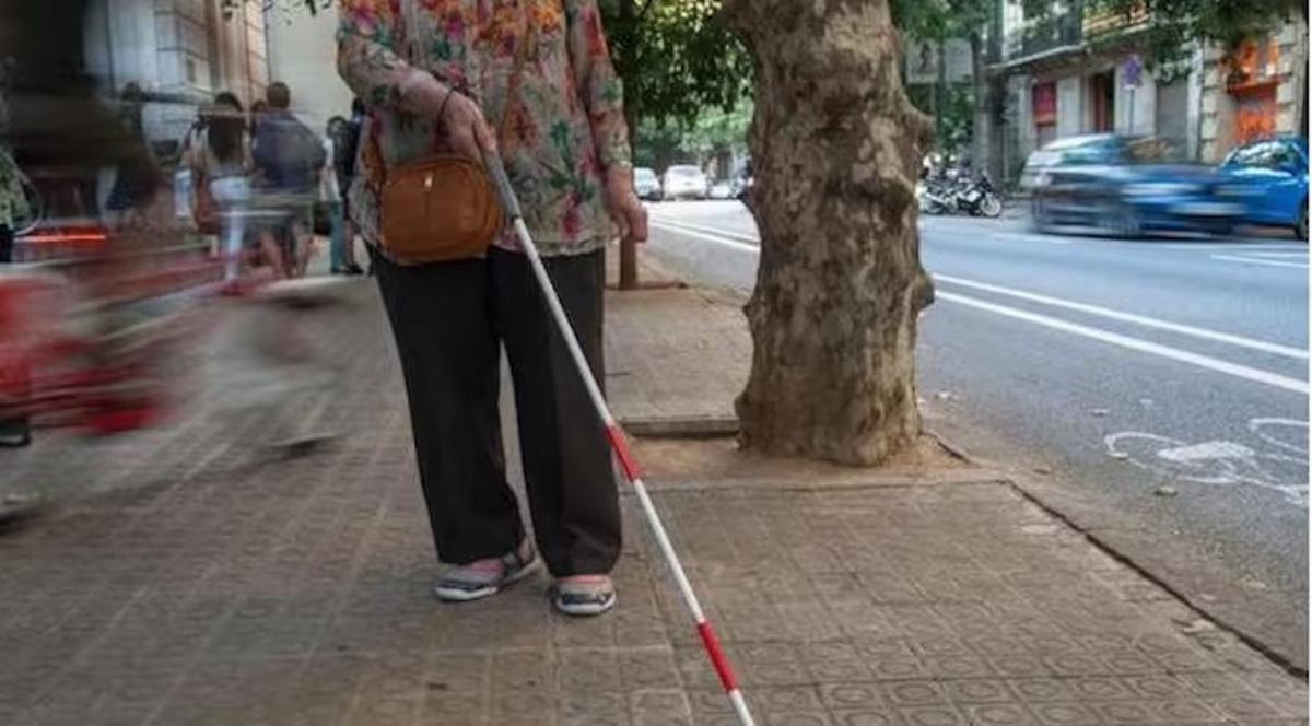 Un hombre fue detenido tras robar a una mujer con discapacidad visual