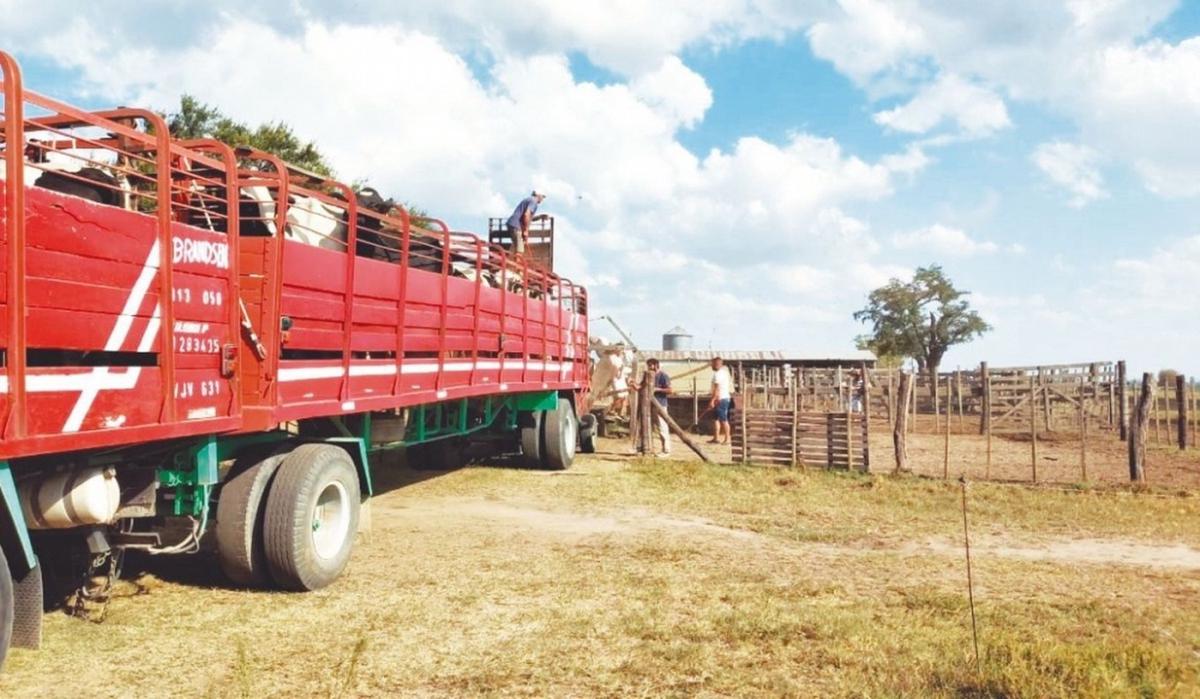 Guías de tránsito animal