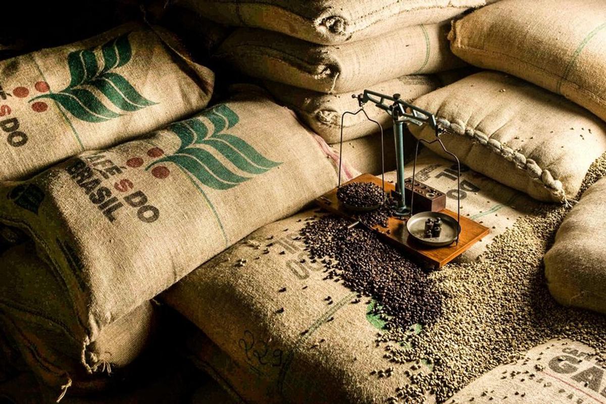 Las exportaciones de café de Brasil a Estados Unidos cayeron casi 55% por los aranceles de Trump.