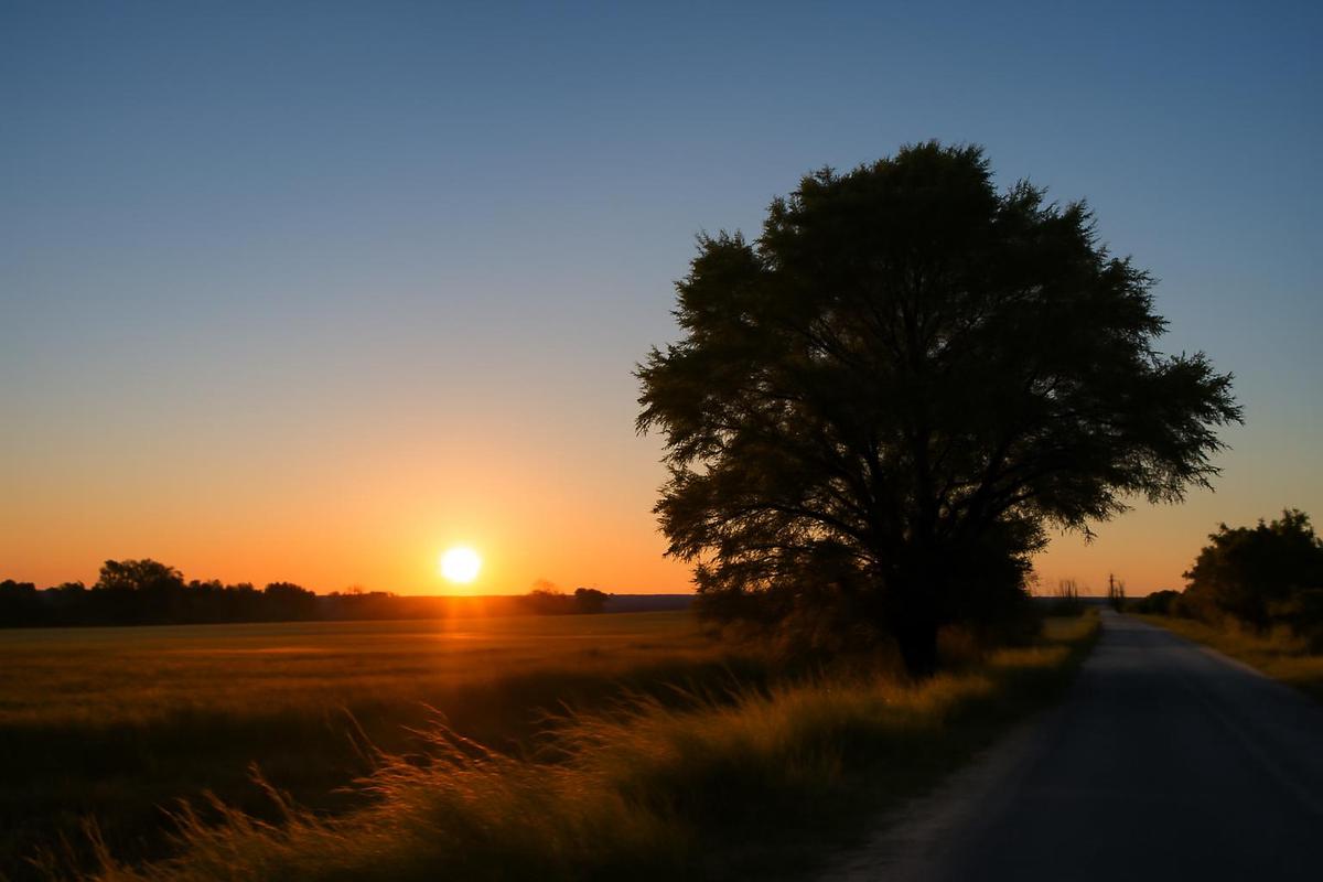 Clima en Córdoba: pronóstico del tiempo para el 16 de mayo