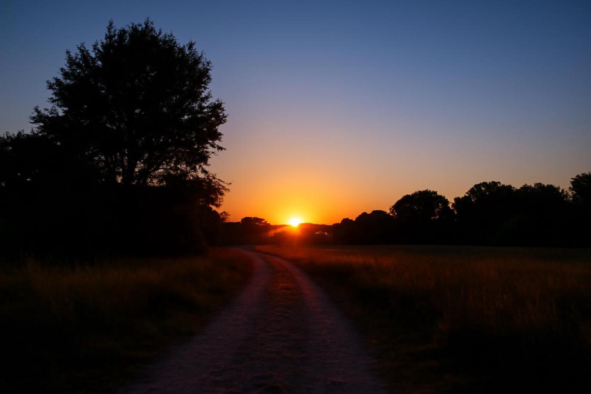 Clima en Mendoza: pronóstico del tiempo para el 15 de diciembre