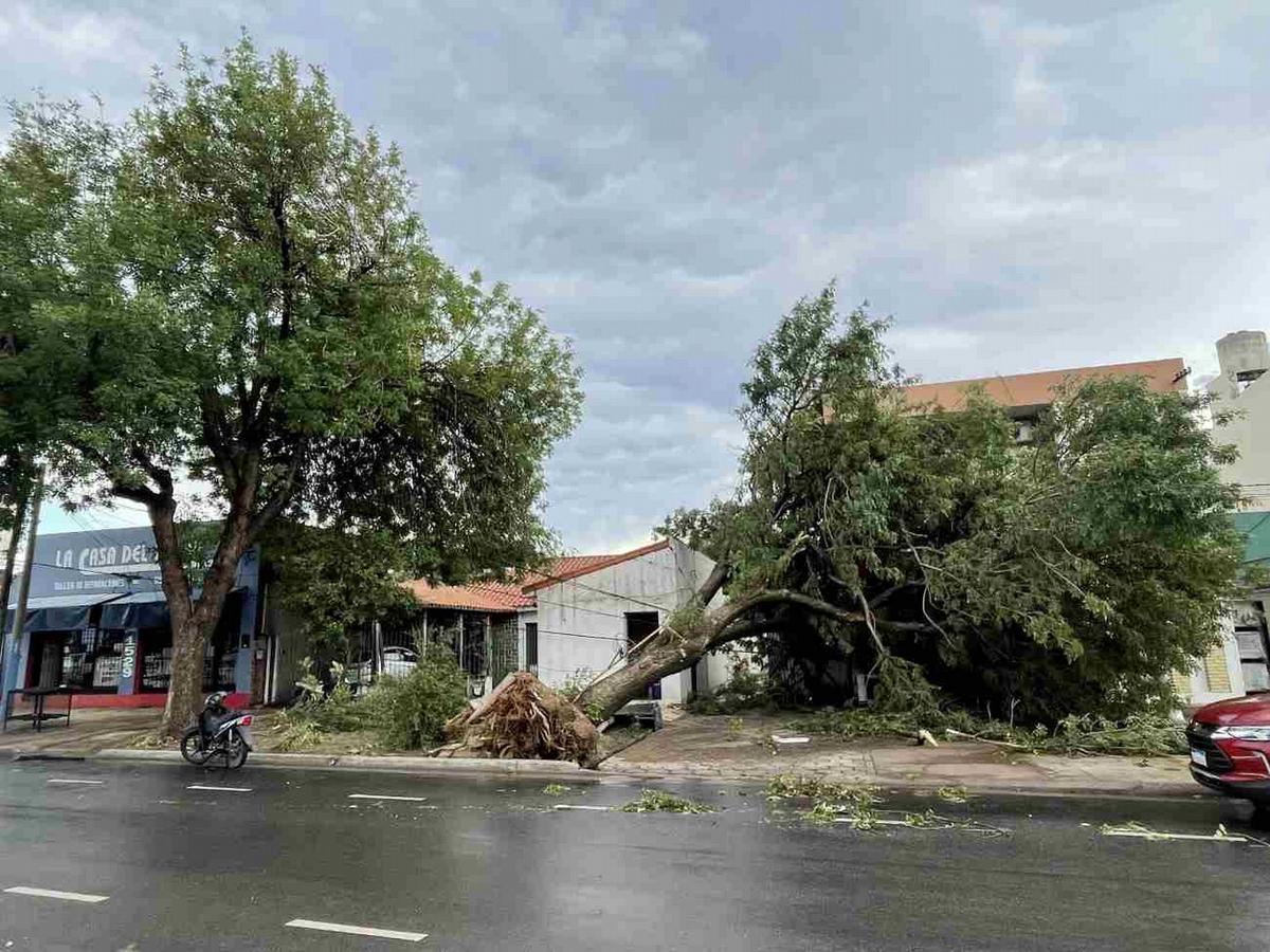 La ciudad se recupera de un temporal devastador
