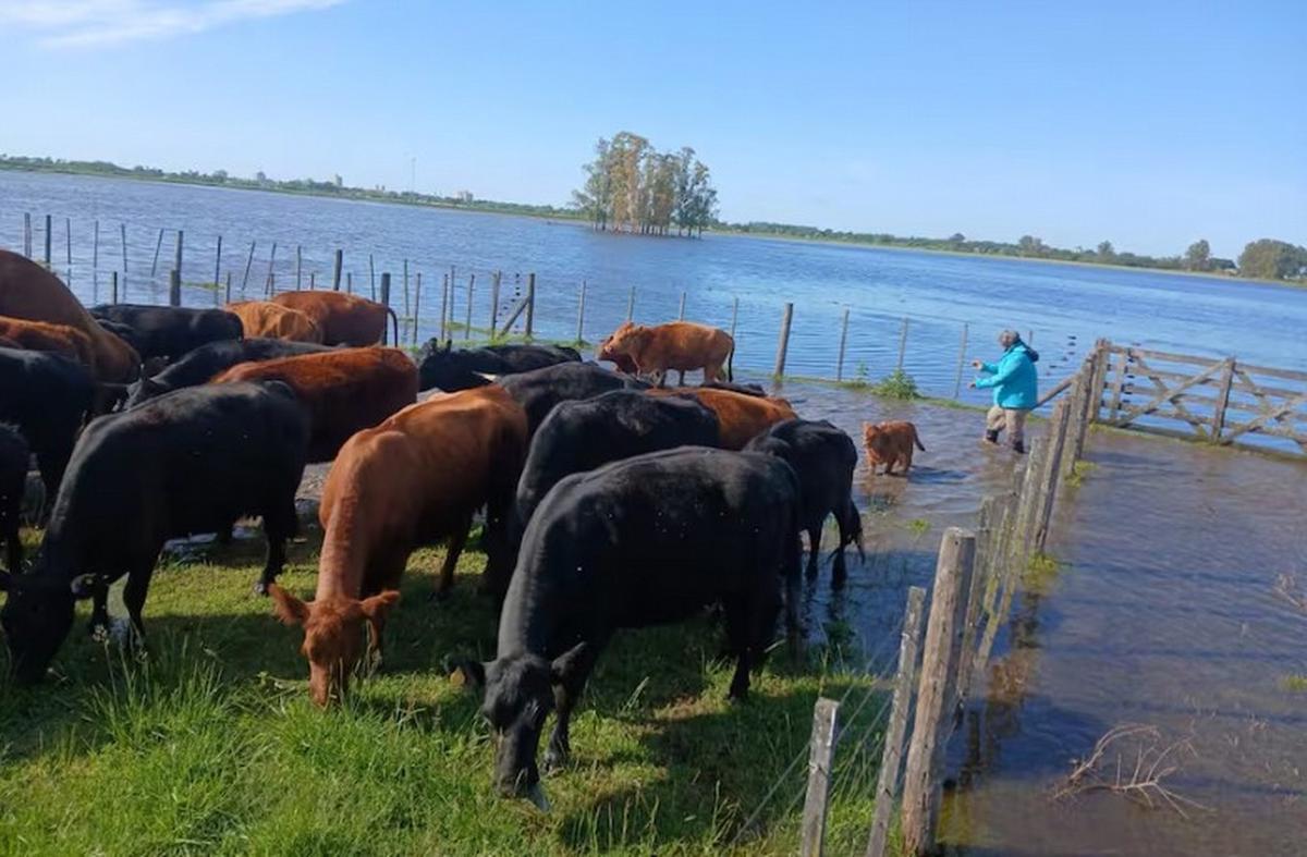 Productores de Buenos Aires enfrentan crisis hídrica y reclaman soluciones urgentes
