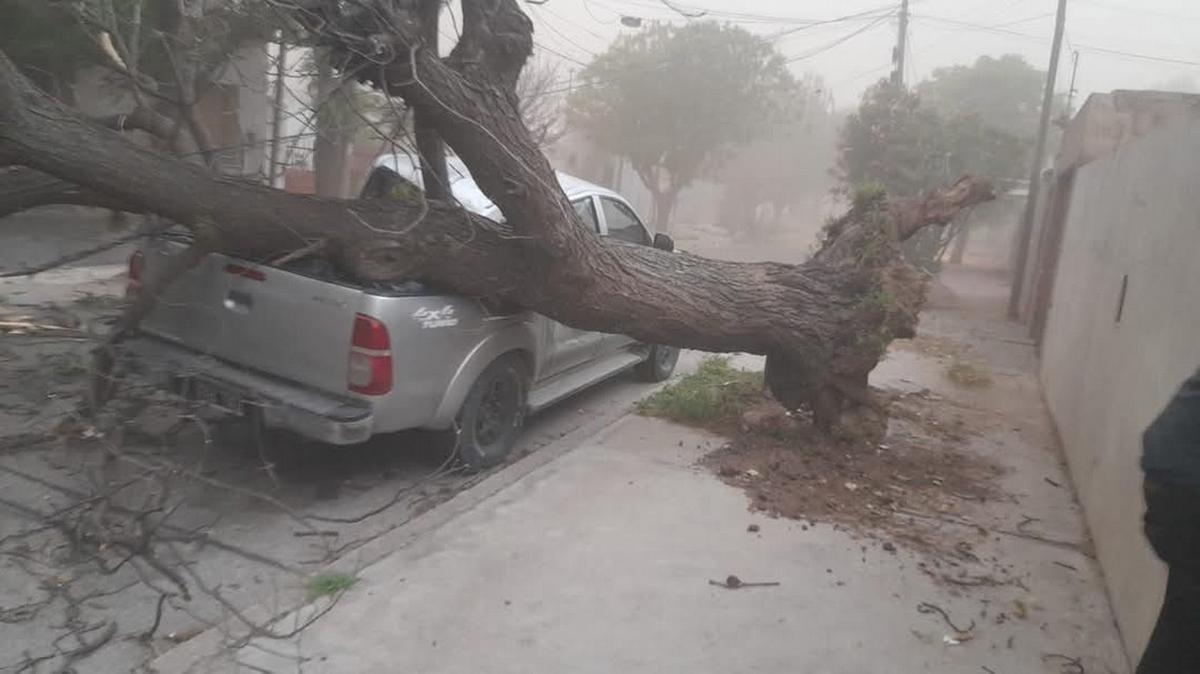 FOTO: San Luis enfrenta daños severos por vientos de más de 120 kilómetros por hora