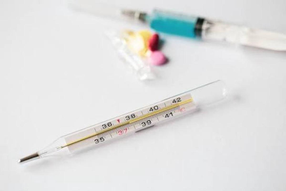 Fiebre Hemorrágica Argentina: 22 casos confirmados en Córdoba, Santa Fe y Buenos Aires
