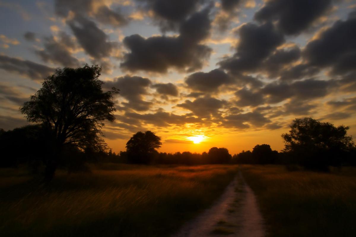 Clima en Mendoza: pronóstico del tiempo para el 20 de marzo