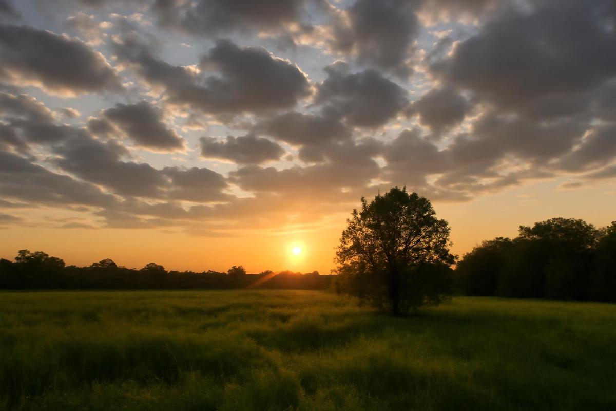 Clima en Tucumán: pronóstico del tiempo para el 21 de octubre