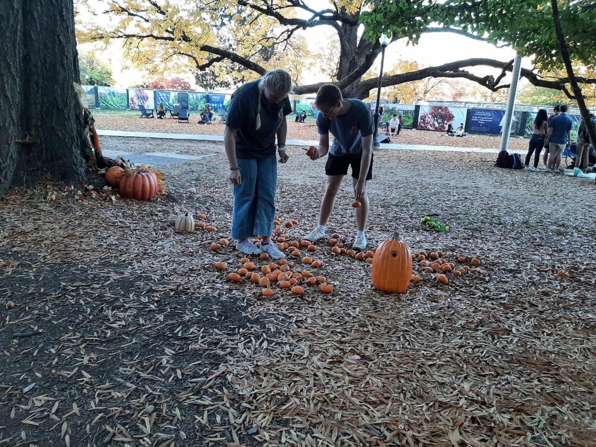 FOTO: En Washington, el barrio de Georgetown se encuentra decorado con calabazas 