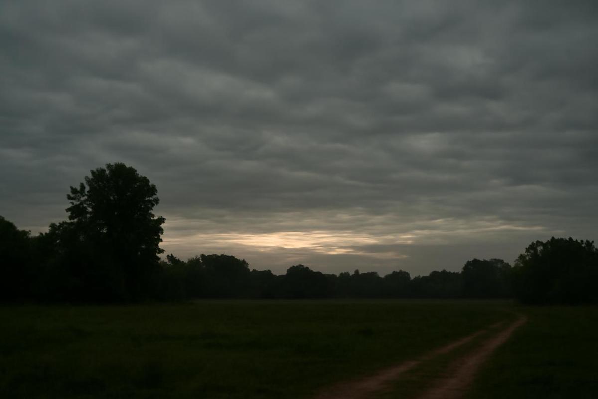 Clima en Tucumán: pronóstico del tiempo para el 2 de octubre