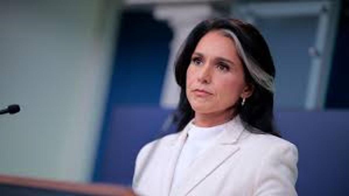 Tulsi Gabbard