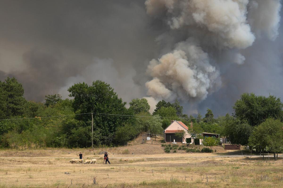 Serbia trabaja para contener los incendios forestales mientras una ola de calor azota los Balcanes