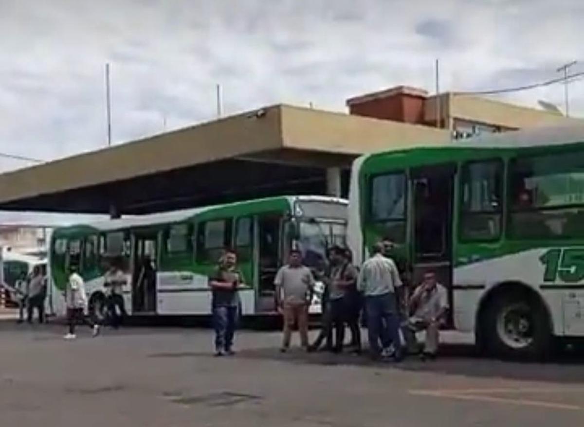 Paro de colectivos: ¿cuáles son las líneas que no funcionan?
