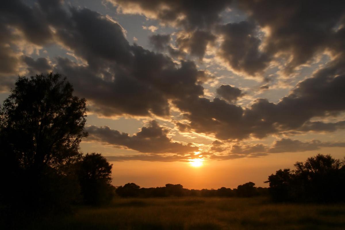 Clima en Córdoba: pronóstico del tiempo para el 31 de agosto