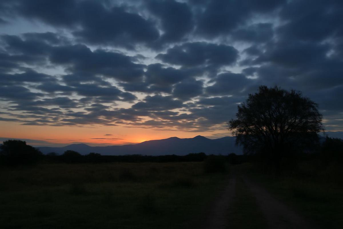 Estado del tiempo en Salta para el martes 16 de junio