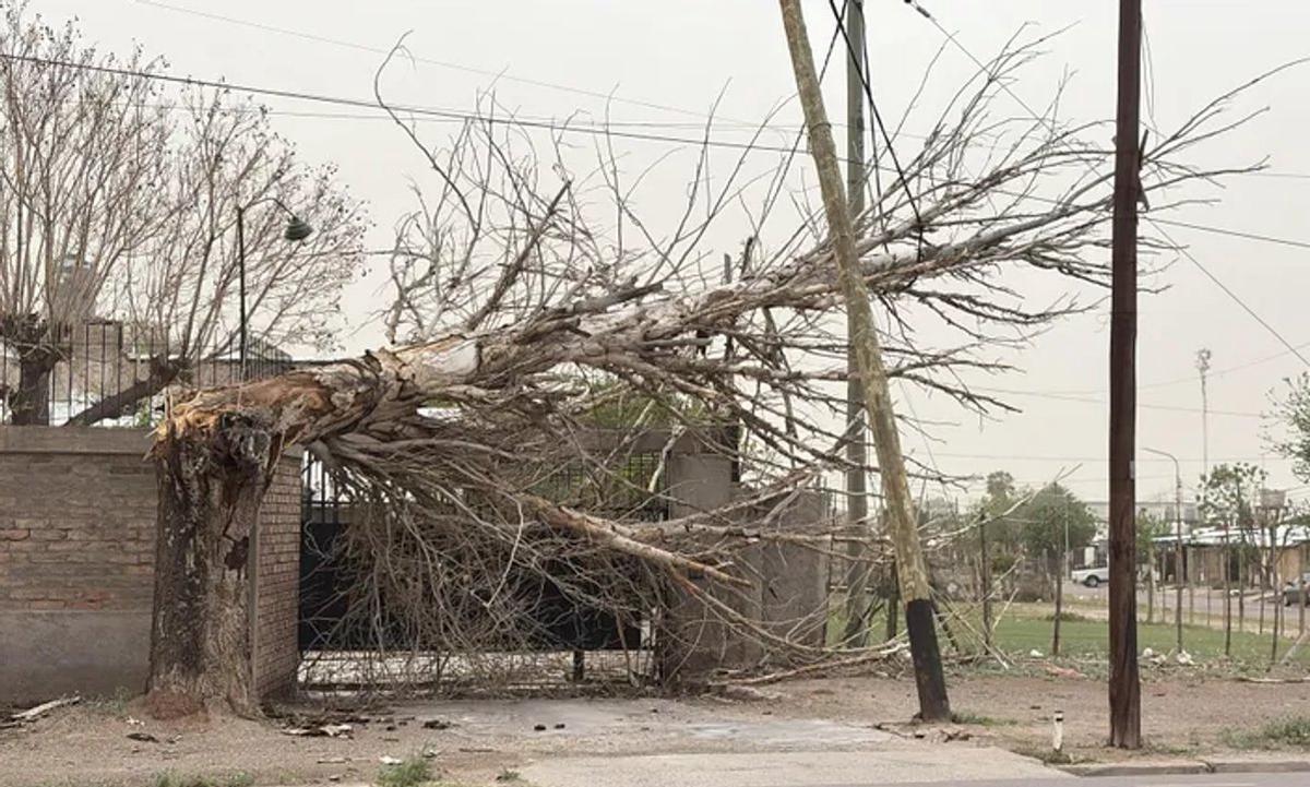 Temporal en Mendoza: un muerto, vuelos suspendidos y graves daños por el viento