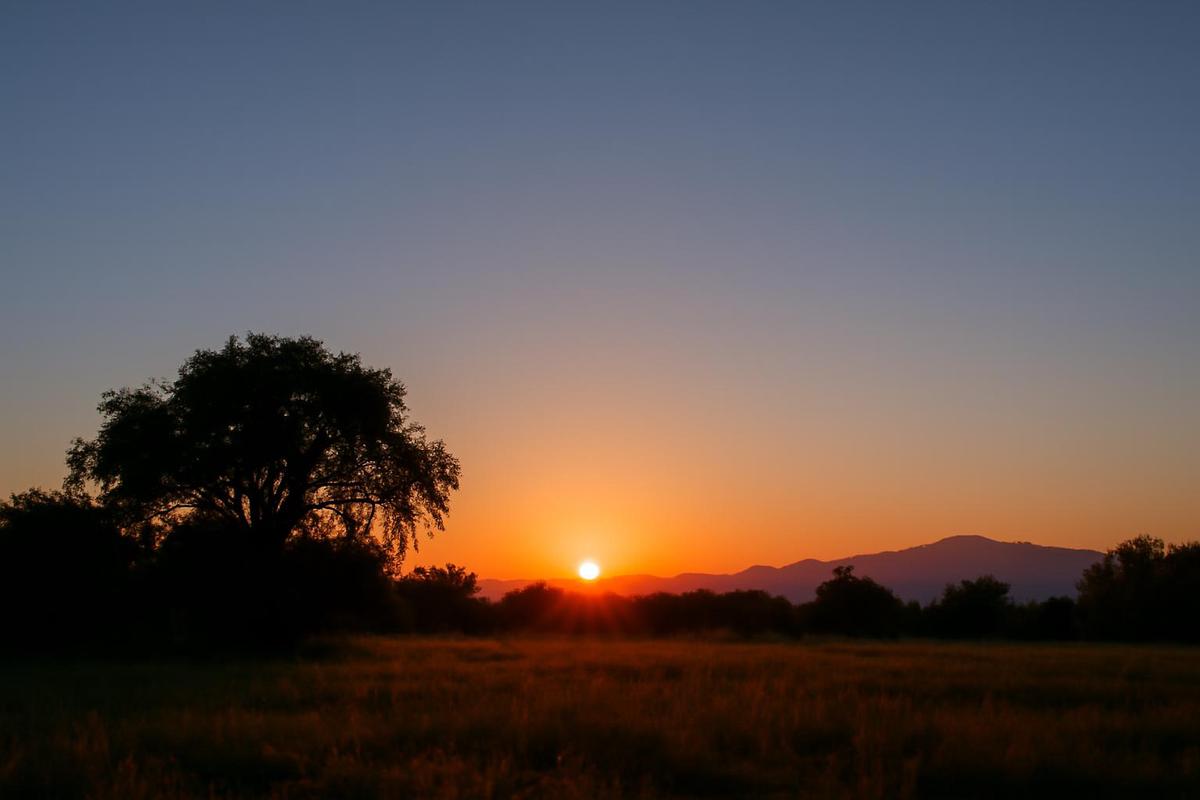 Clima en Salta: pronóstico del tiempo para el 26 de agosto