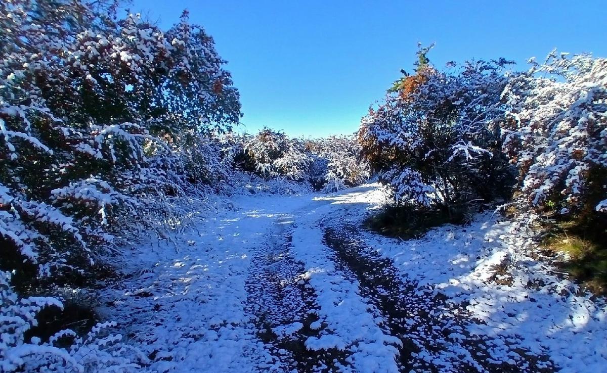 Así quedaron las sierras tras la nevada en Córdoba. (Foto: redes)