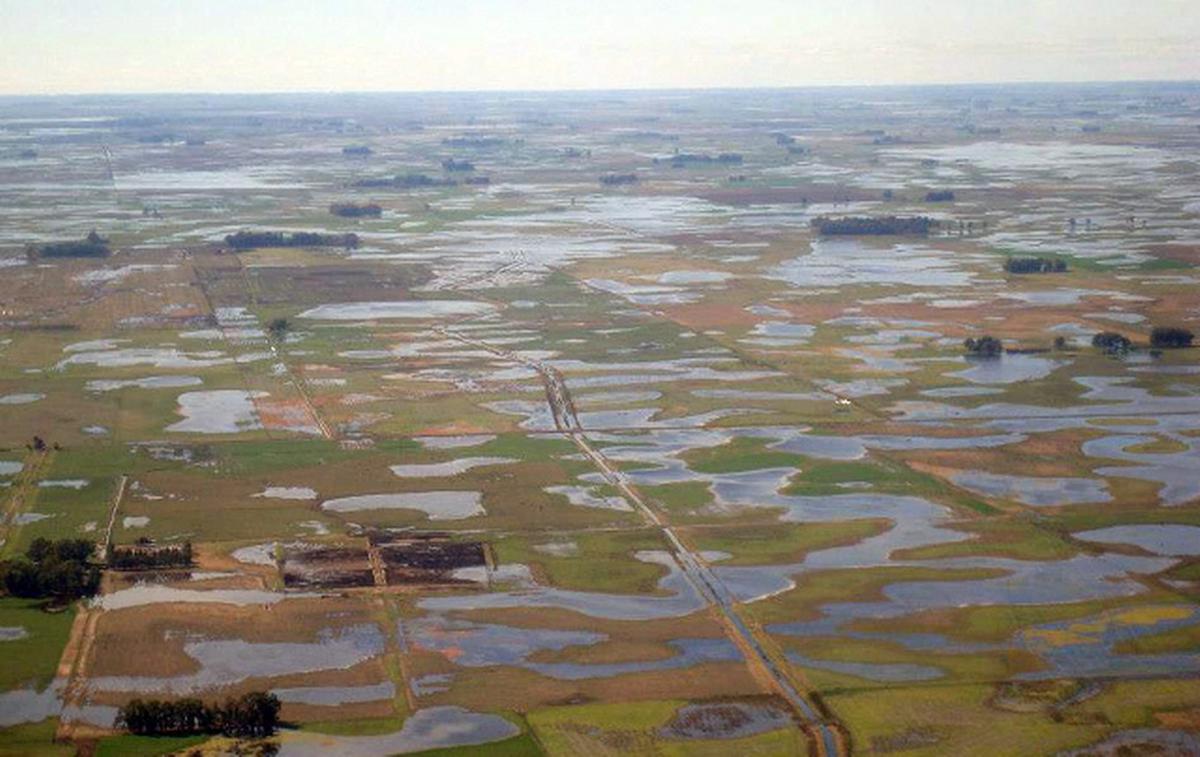 Productores rurales enfrentan pérdidas millonarias y reclaman soluciones