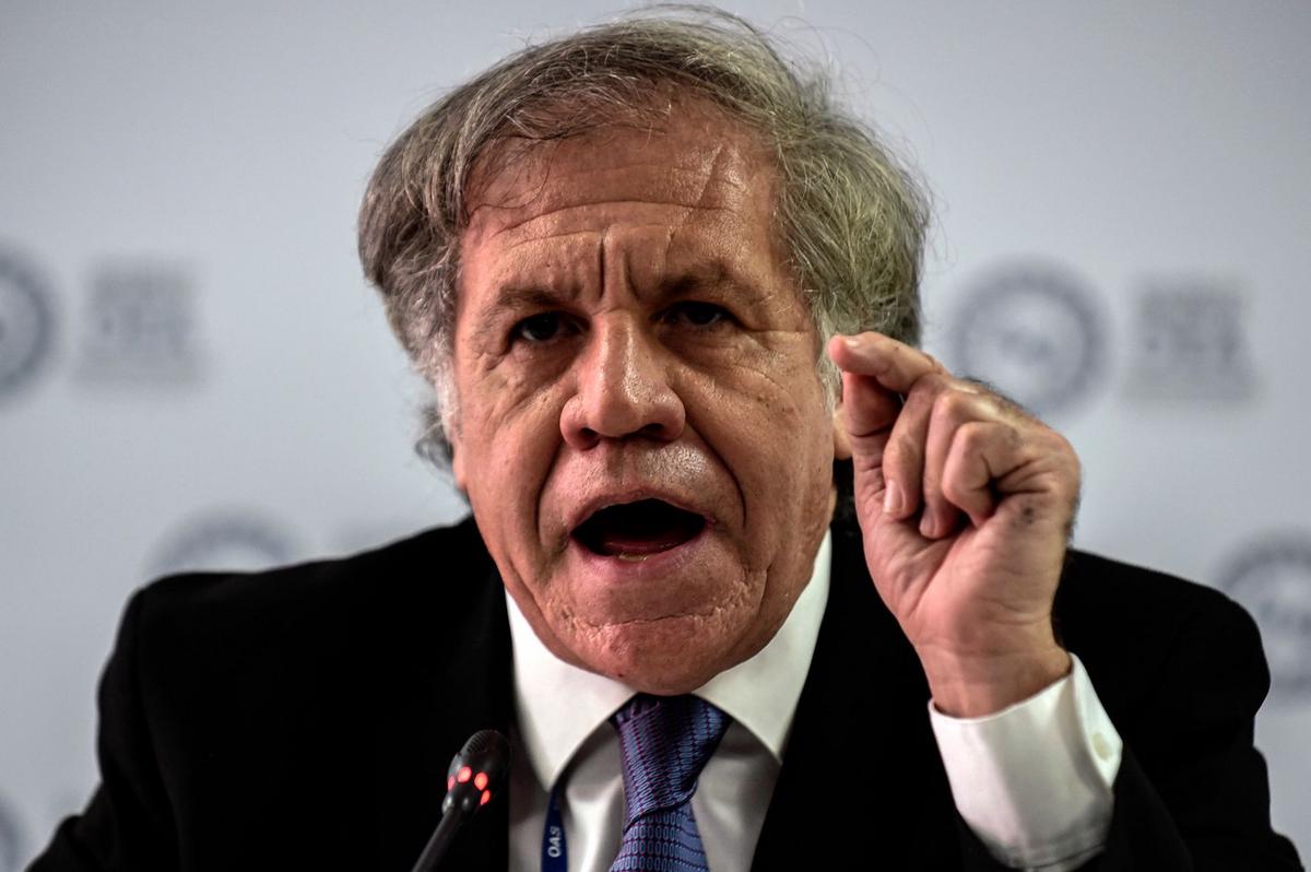 FOTO: Luis Almagro, secretario general de la OEA. (Foto: NA)