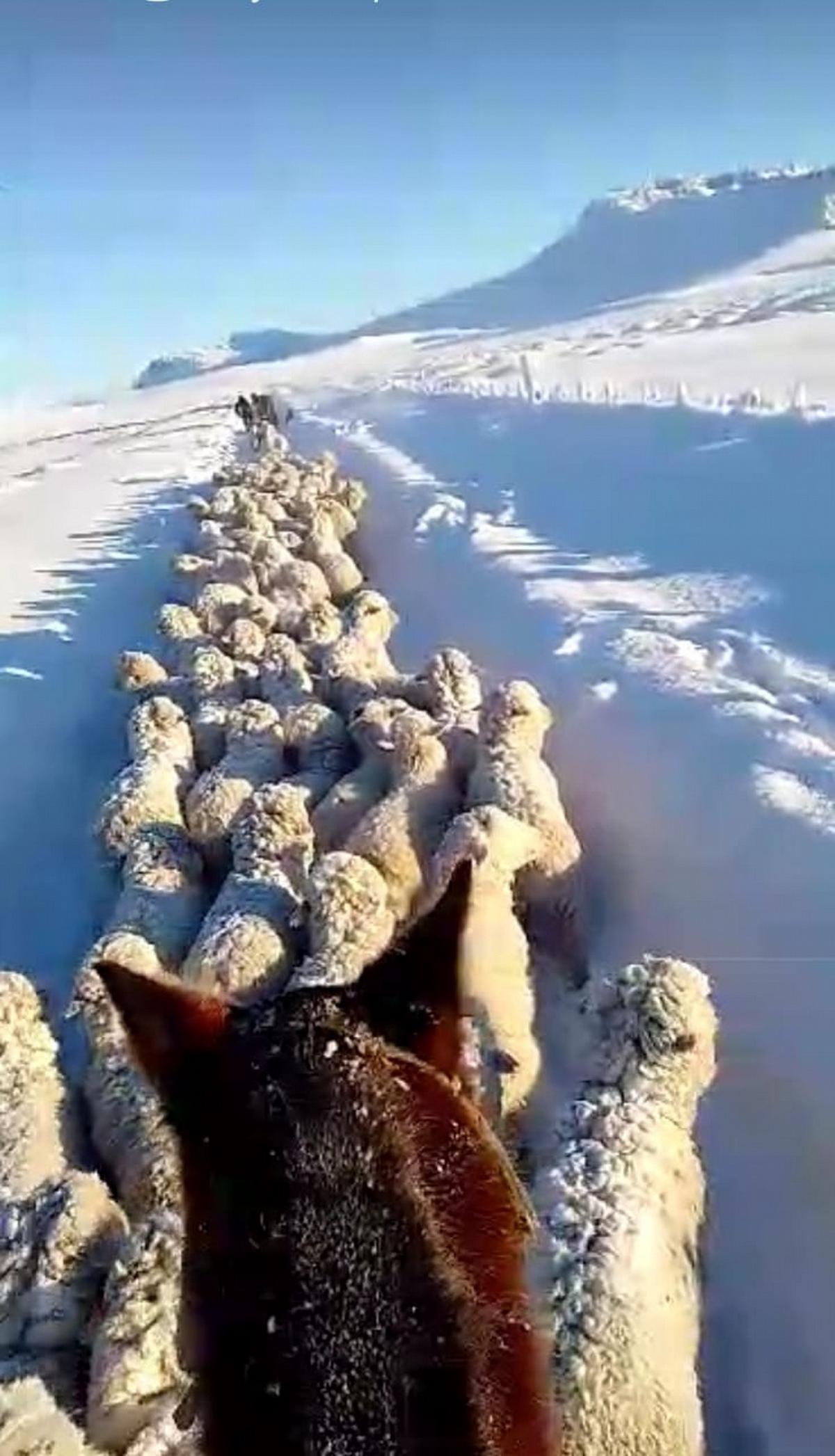 Nevadas en Santa Cruz
