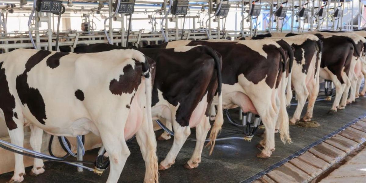 FOTO: Ciencia en Acción en los tambos