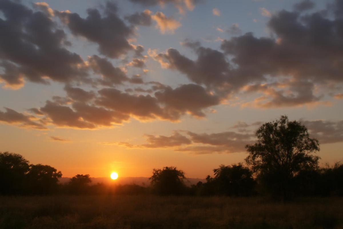Clima en Salta: pronóstico del tiempo para el 8 de diciembre