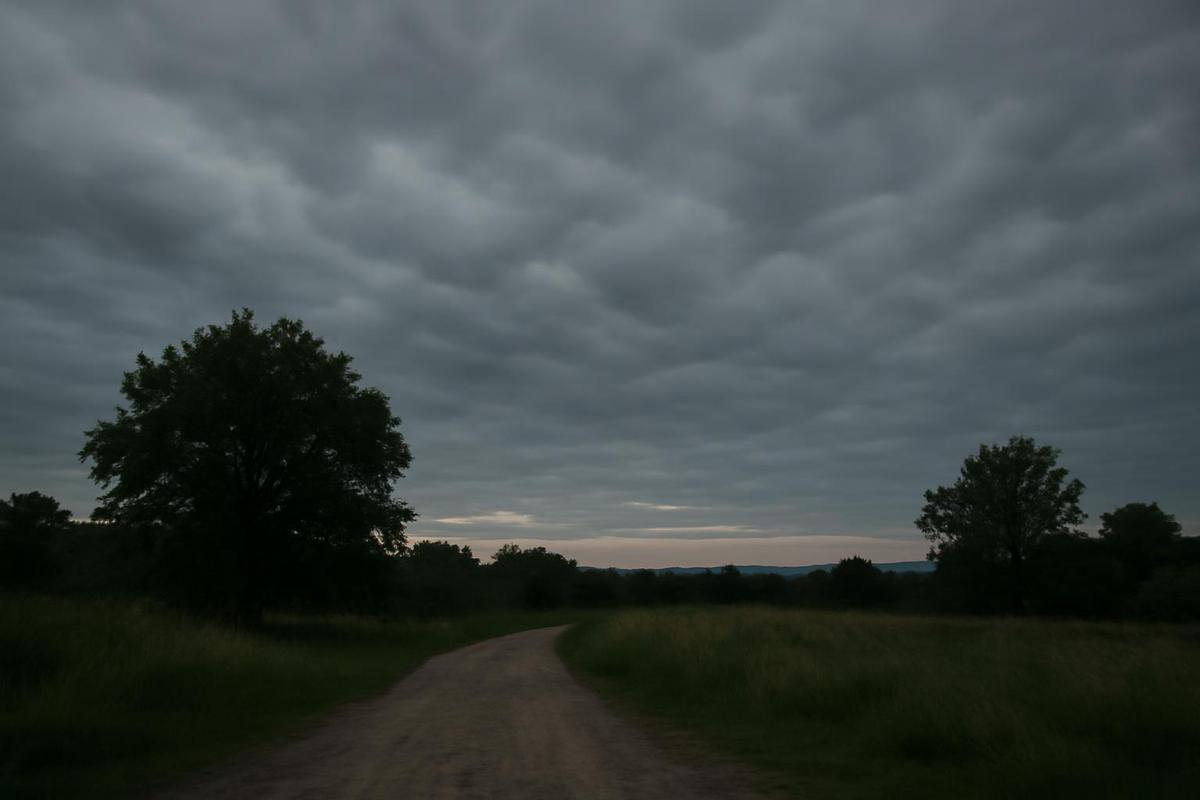 Clima en Salta: pronóstico del tiempo para el 22 de julio