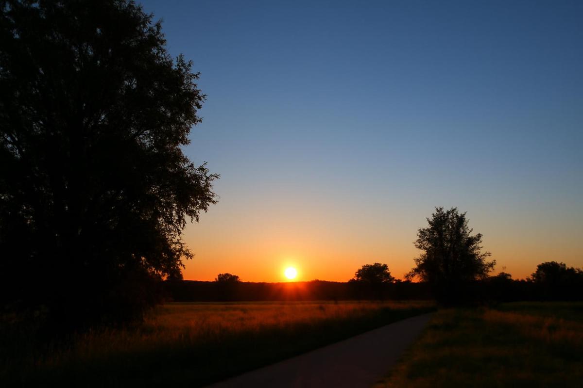 Clima en CABA: pronóstico del tiempo para el 12 de diciembre