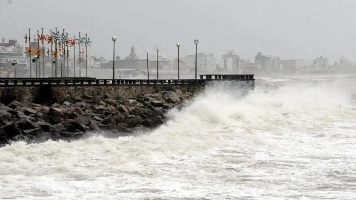 Alerta amarilla por vientos intensos en Mar del Plata y la costa bonaerense