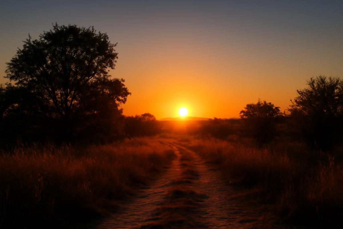 Clima en Rosario: cielo despejado y altas temperaturas para el 3 de diciembre