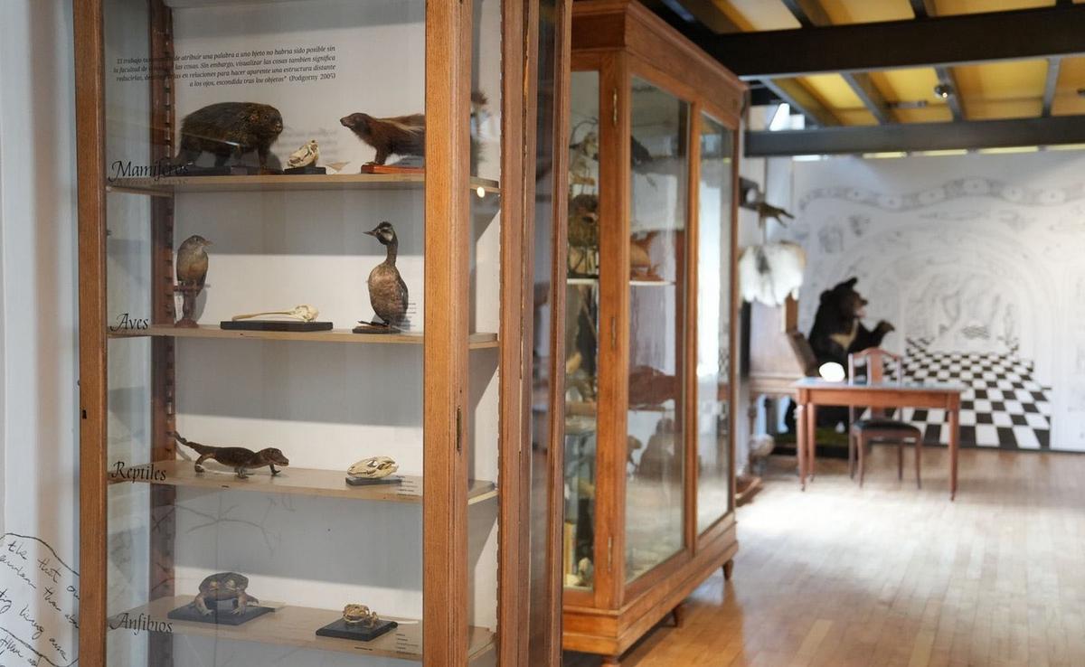El Museo Gallardo reabre y estrena propuesta expositiva en Rosario: